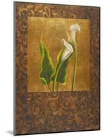 Calla Lily with Arabesque II-Patricia Pinto-Mounted Art Print