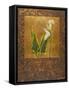 Calla Lily with Arabesque II-Patricia Pinto-Framed Stretched Canvas