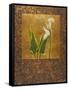 Calla Lily with Arabesque II-Patricia Pinto-Framed Stretched Canvas