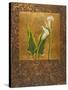 Calla Lily with Arabesque II-Patricia Pinto-Stretched Canvas