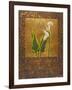 Calla Lily with Arabesque II-Patricia Pinto-Framed Art Print