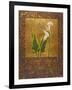 Calla Lily with Arabesque II-Patricia Pinto-Framed Art Print