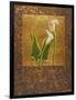 Calla Lily with Arabesque II-Patricia Pinto-Framed Art Print