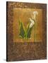 Calla Lily with Arabesque II-Patricia Pinto-Stretched Canvas