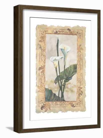 Calla Lily-George Caso-Framed Art Print