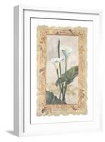 Calla Lily-George Caso-Framed Art Print