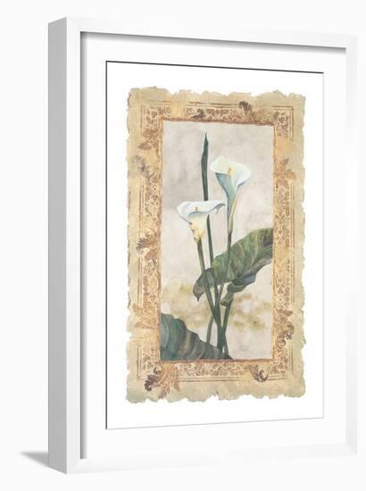 Calla Lily-George Caso-Framed Art Print