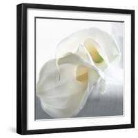 Calla Lily-Anna Miller-Framed Photographic Print