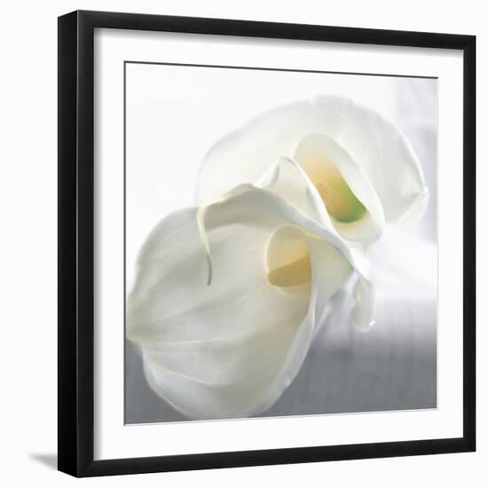 Calla Lily-Anna Miller-Framed Photographic Print