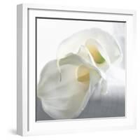 Calla Lily-Anna Miller-Framed Photographic Print