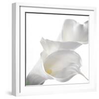 Calla Lily-Anna Miller-Framed Photographic Print