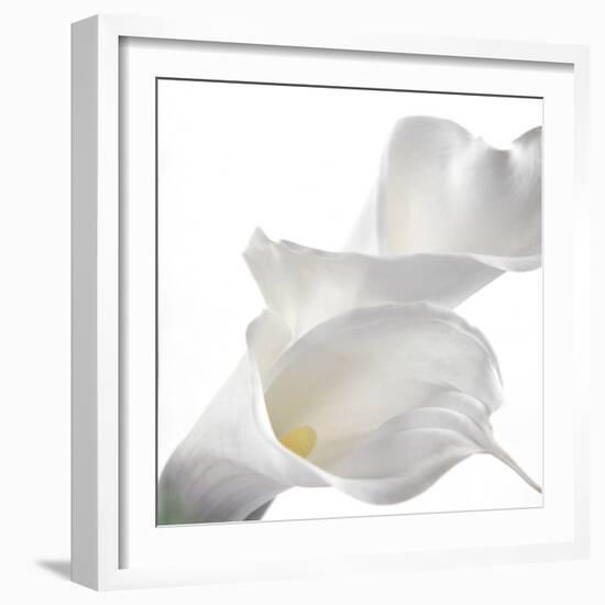 Calla Lily-Anna Miller-Framed Photographic Print