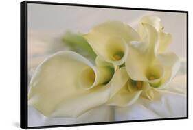 Calla Lily-Anna Miller-Framed Stretched Canvas