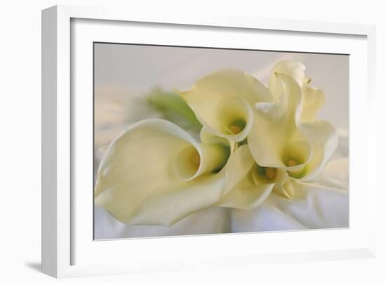 Calla Lily-Anna Miller-Framed Photographic Print