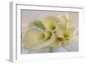 Calla Lily-Anna Miller-Framed Photographic Print