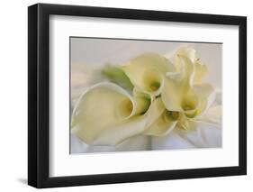 Calla Lily-Anna Miller-Framed Photographic Print