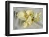 Calla Lily-Anna Miller-Framed Photographic Print