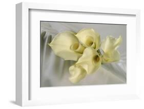 Calla Lily-Anna Miller-Framed Photographic Print