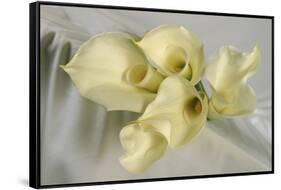 Calla Lily-Anna Miller-Framed Stretched Canvas