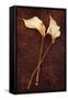 Calla Lily-Den Reader-Framed Stretched Canvas