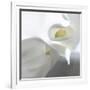 Calla Lily-Anna Miller-Framed Photographic Print