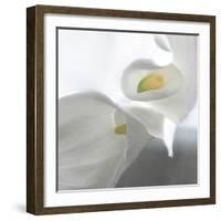 Calla Lily-Anna Miller-Framed Photographic Print