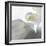 Calla Lily-Anna Miller-Framed Photographic Print