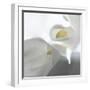 Calla Lily-Anna Miller-Framed Photographic Print