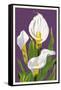 Calla Lily-Lantern Press-Framed Stretched Canvas