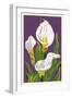 Calla Lily-Lantern Press-Framed Art Print