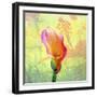 Calla Lily-Ata Alishahi-Framed Giclee Print