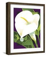 Calla Lily-David Chestnutt-Framed Giclee Print