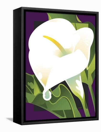 Calla Lily-David Chestnutt-Framed Stretched Canvas