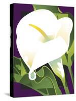 Calla Lily-David Chestnutt-Stretched Canvas