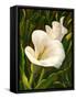 Calla Lily-Vessela G.-Framed Stretched Canvas