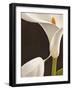 Calla moderna I-Serena Biffi-Framed Art Print