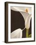 Calla moderna I-Serena Biffi-Framed Art Print