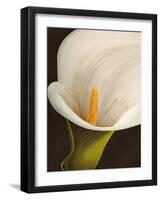 Calla moderna II-Serena Biffi-Framed Art Print