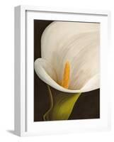 Calla moderna II-Serena Biffi-Framed Art Print