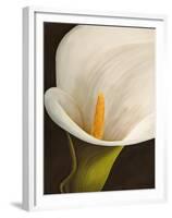 Calla moderna II-Serena Biffi-Framed Art Print