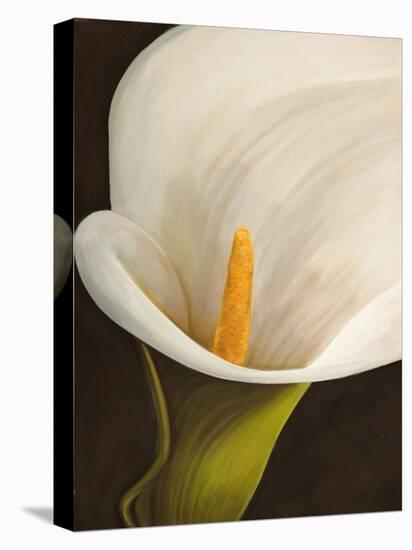 Calla moderna II-Serena Biffi-Stretched Canvas