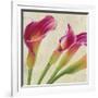 Calla Parade II-Luca Villa-Framed Art Print