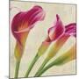 Calla Parade II-Luca Villa-Mounted Art Print