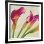 Calla Parade II-Luca Villa-Framed Art Print