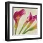 Calla Parade II-Luca Villa-Framed Art Print