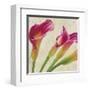 Calla Parade II-Luca Villa-Framed Art Print