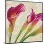 Calla Parade II-Luca Villa-Mounted Art Print