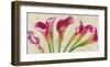 Calla Parade-Luca Villa-Framed Art Print