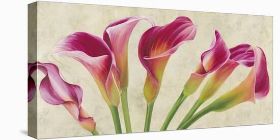 Calla Parade-Luca Villa-Stretched Canvas