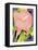 Calla Pink-David Chestnutt-Framed Stretched Canvas